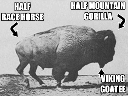 The mighty buffalo.