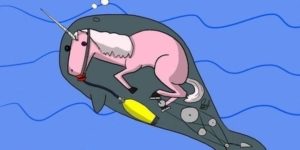 The truth behind narwhals.