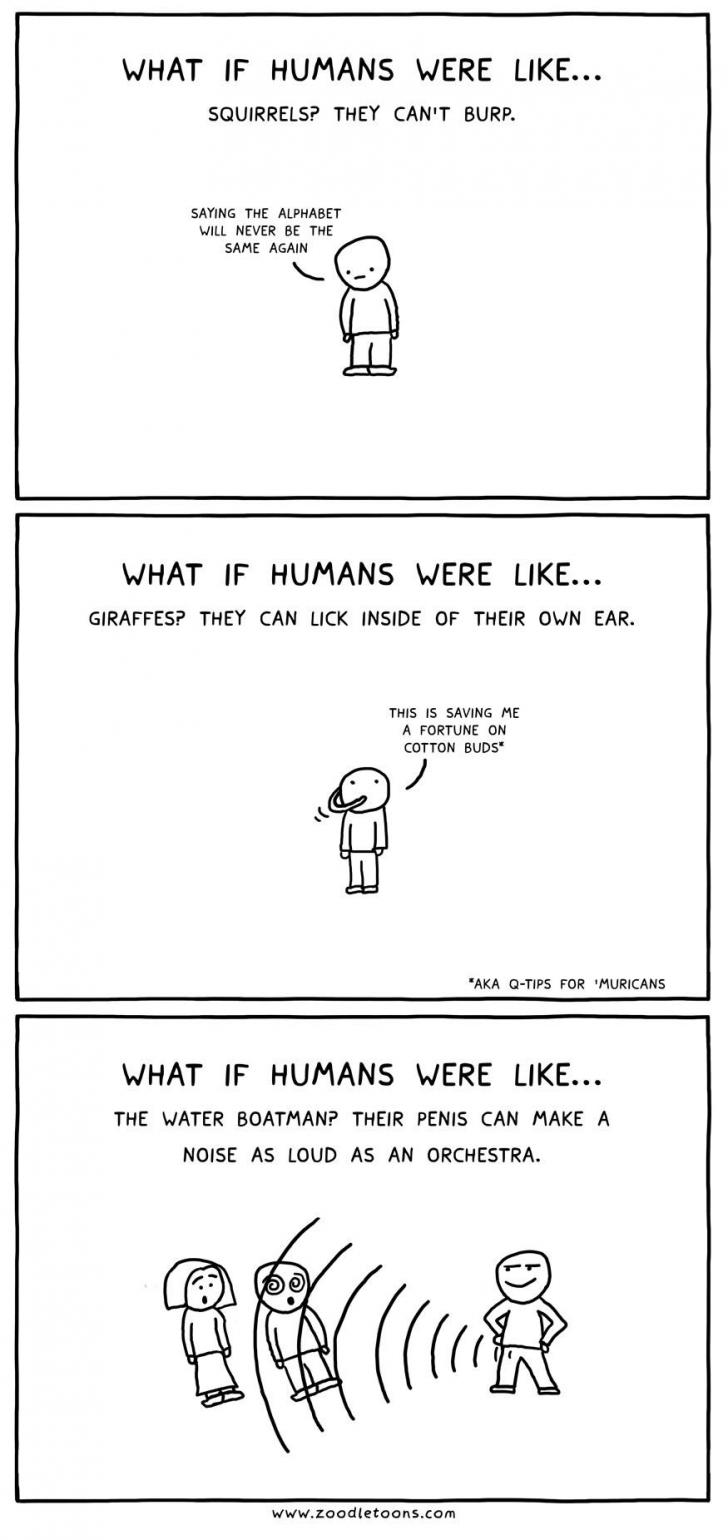 If humans were like squirrels...