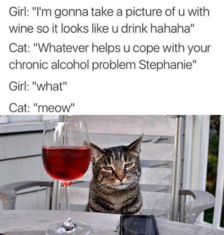 Girl vs Cat