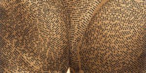 If Words Suddenly Appeared On Your Skin