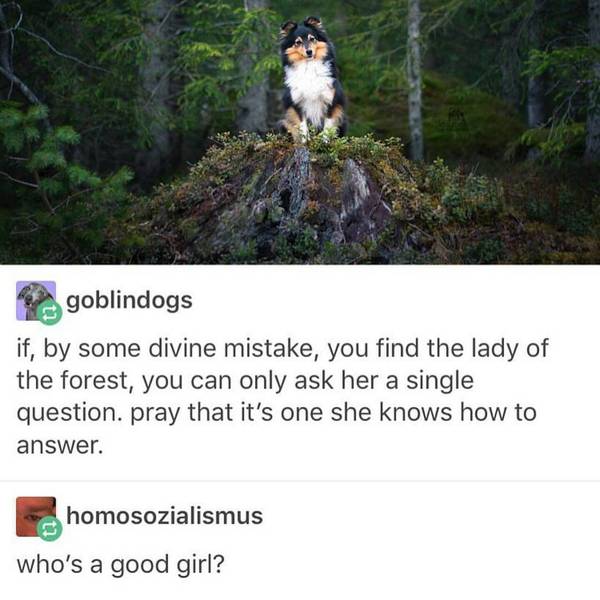 The lady of the forest