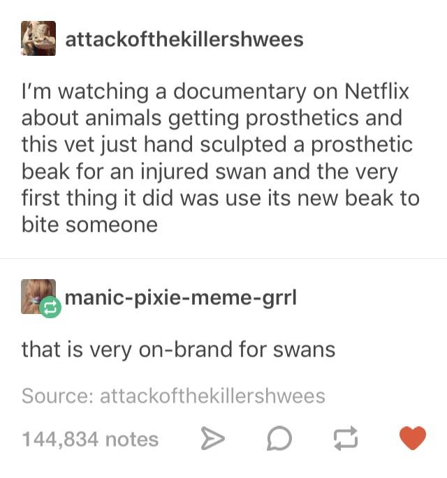 Swans