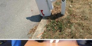How to tell if it’s hot outside.