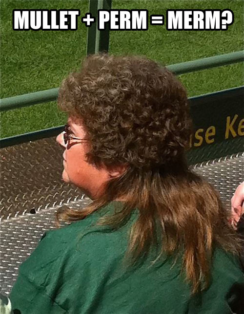 Mullet + Perm?