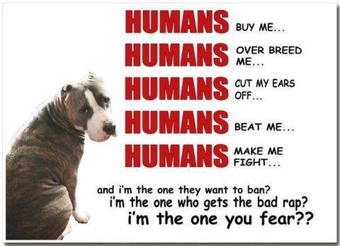 Please help us stop the ban against pit bulls!