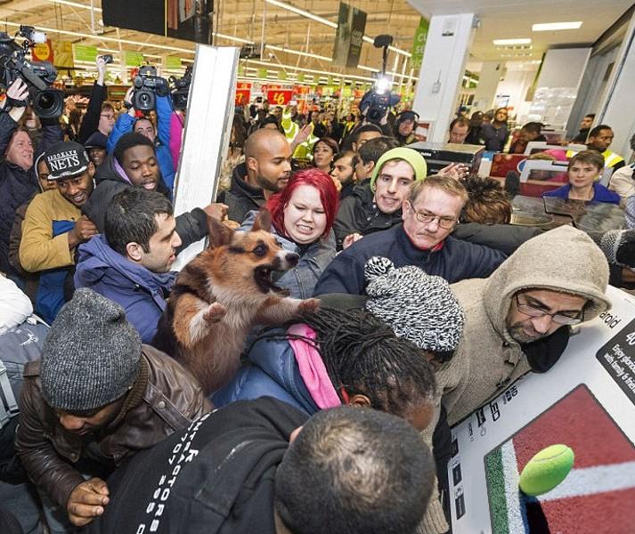 When its Black Friday and tennis ball is life.