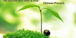 The best time to plant a tree.