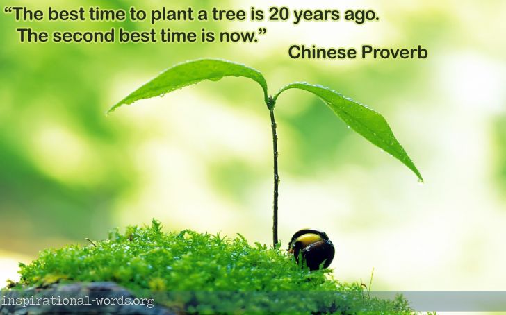 The best time to plant a tree.