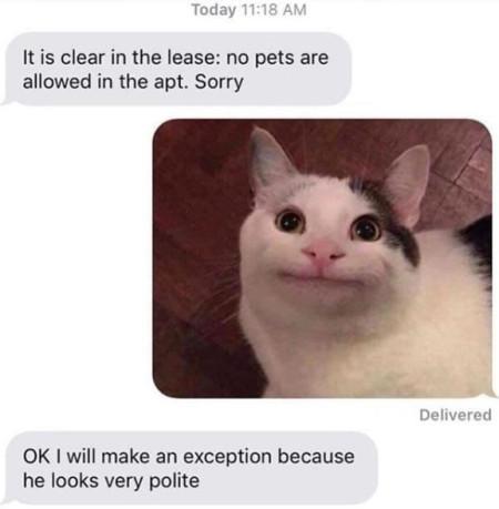 No Pets Are Allowed...