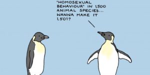 Socially gay penguin