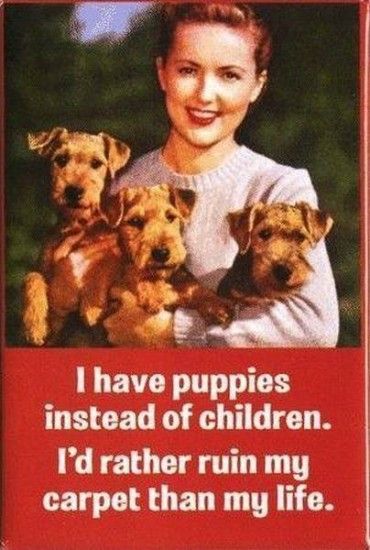 I have puppies instead of children...