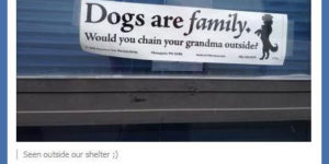 Dogs+are+family%2C+too.