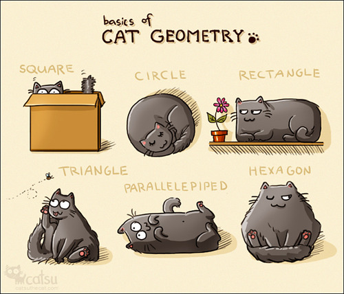 The basics of cat geometry.