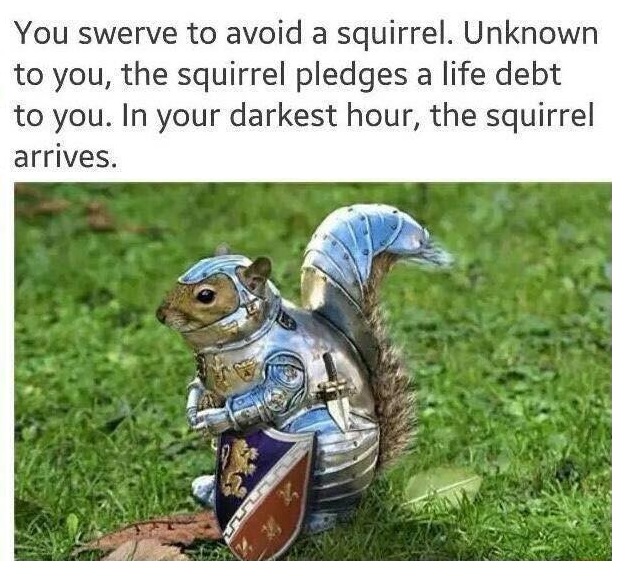 Mr. Squirrel pledges his allegiance to you and your family. 