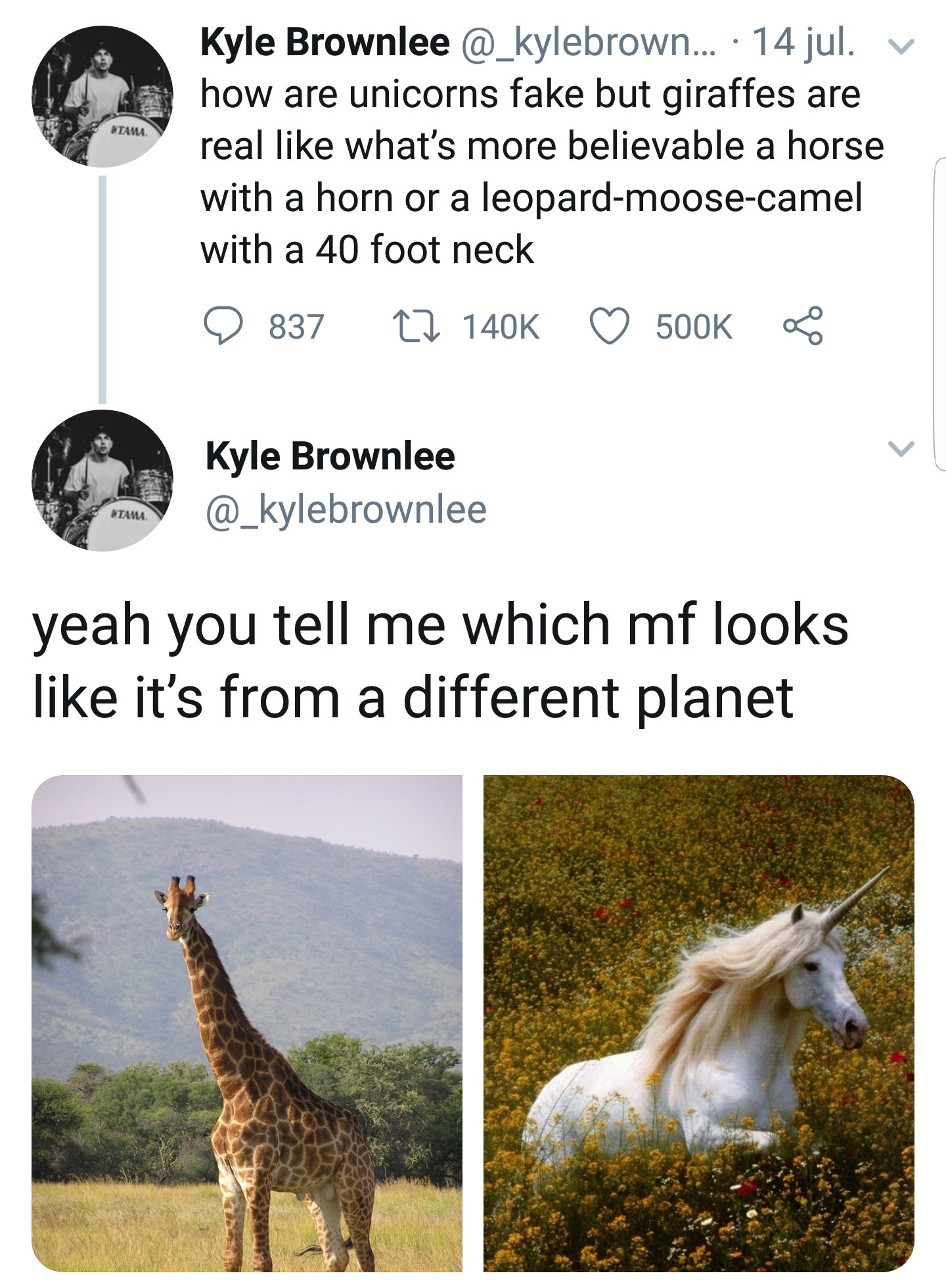 The mighty leopard moose camel.