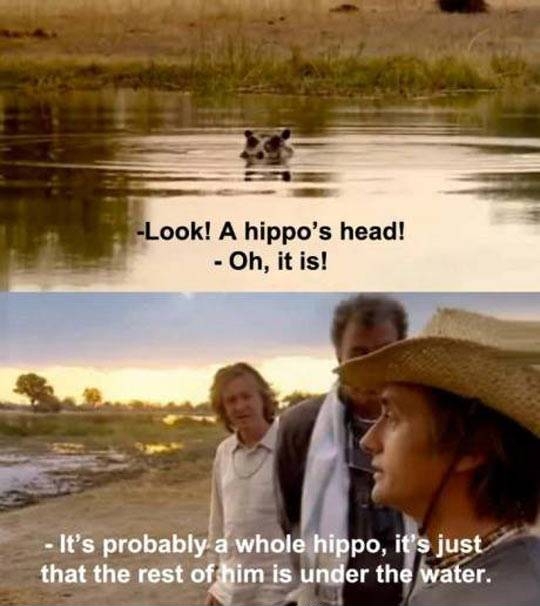 Look! A hippo's head!