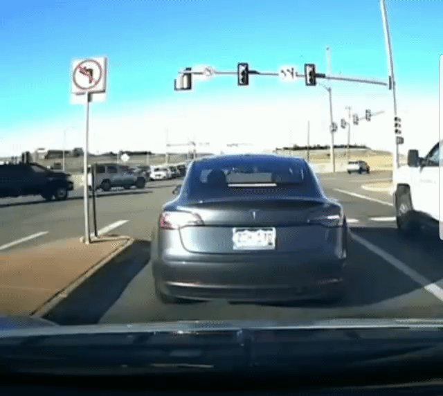 Tesla model 3 stops itself to avoid accident.