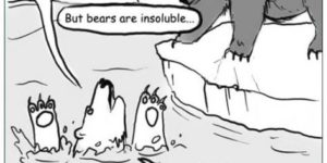 Water-soluble polar bear needs help.