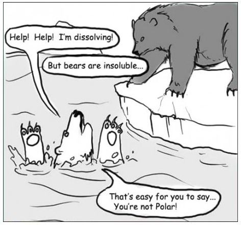 Water-soluble polar bear needs help.