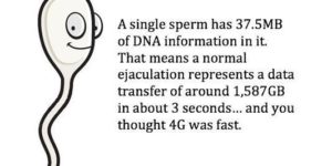 A single sperm has 37.5MB of DNA in it…