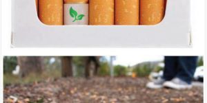 Biodegradable cigarette filters with flower seeds.