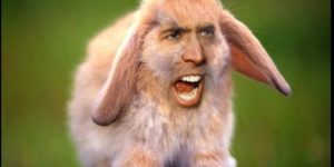 Despite all my rage I am still just a rabbit Nic Cage.