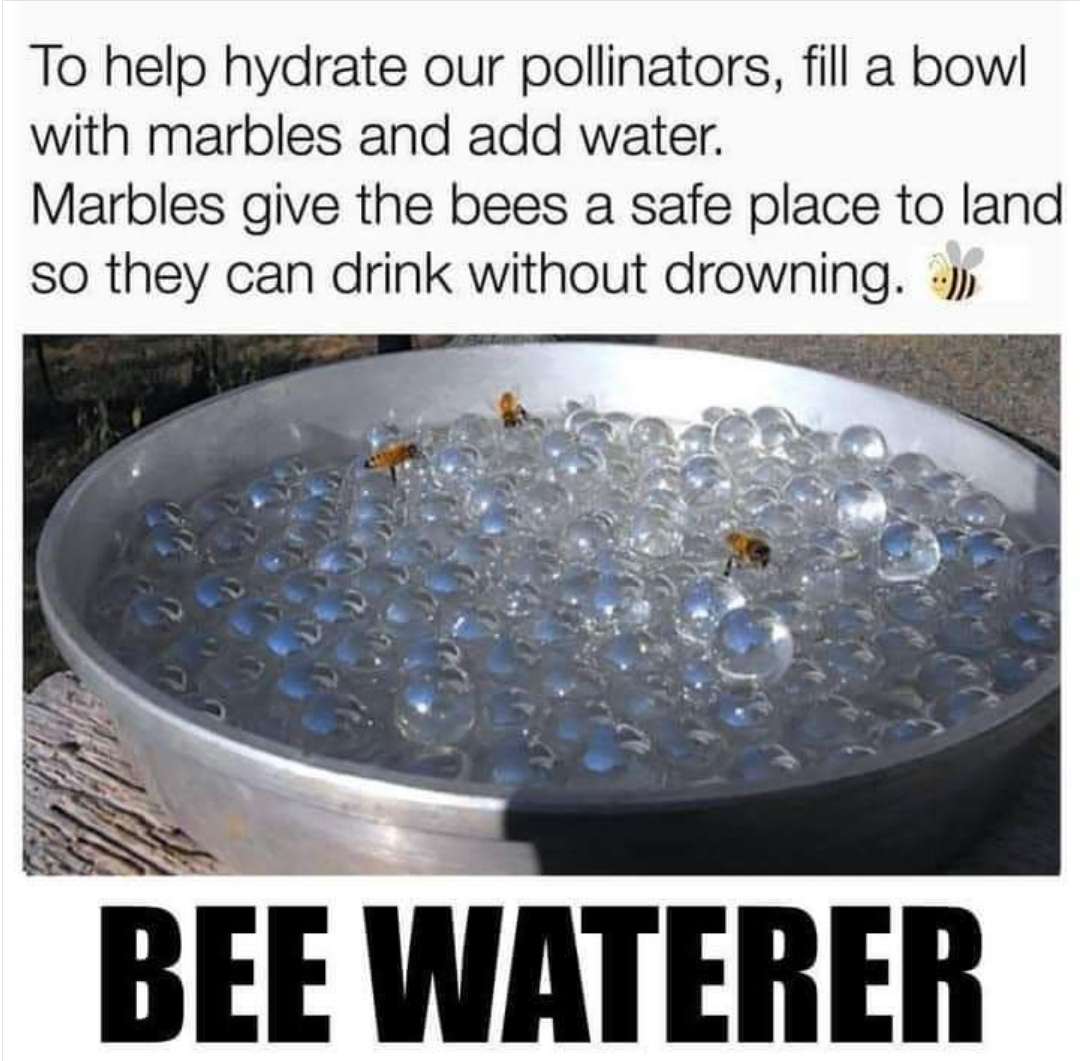 Hydrate them damn bees.