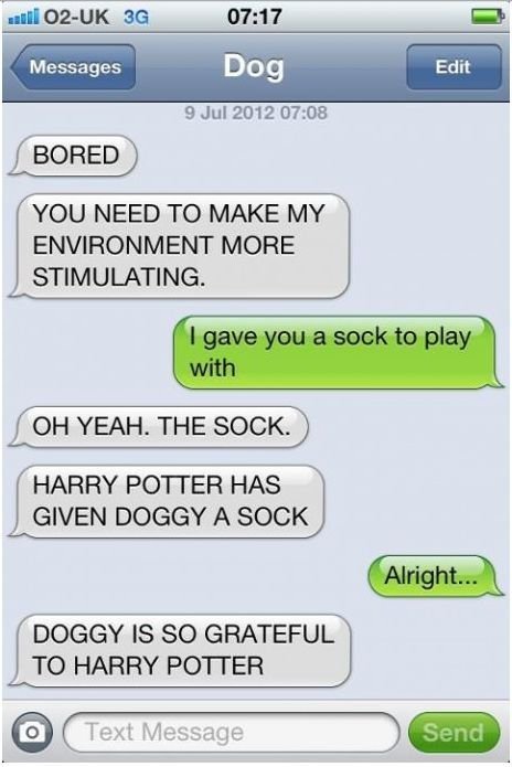 Harry Potter has given doggy a sock!