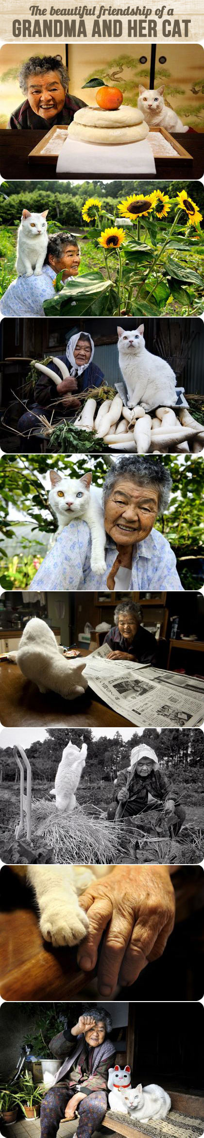 Grandma and her cat.