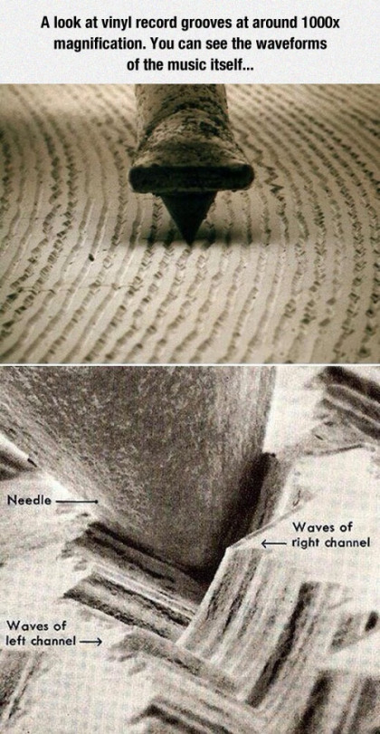 Magnified (x1000) Vinyl Record shows the waveforms of the music.