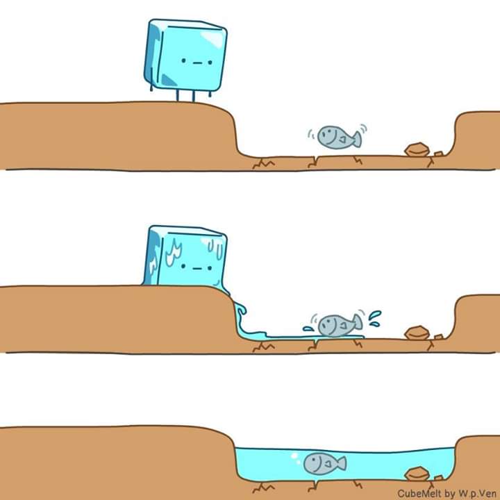 Do it for the fish.