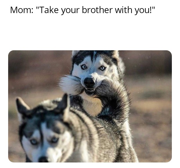 Every older brother ever.