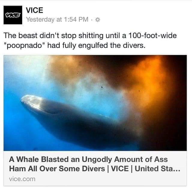 And that's just the problem with whales...