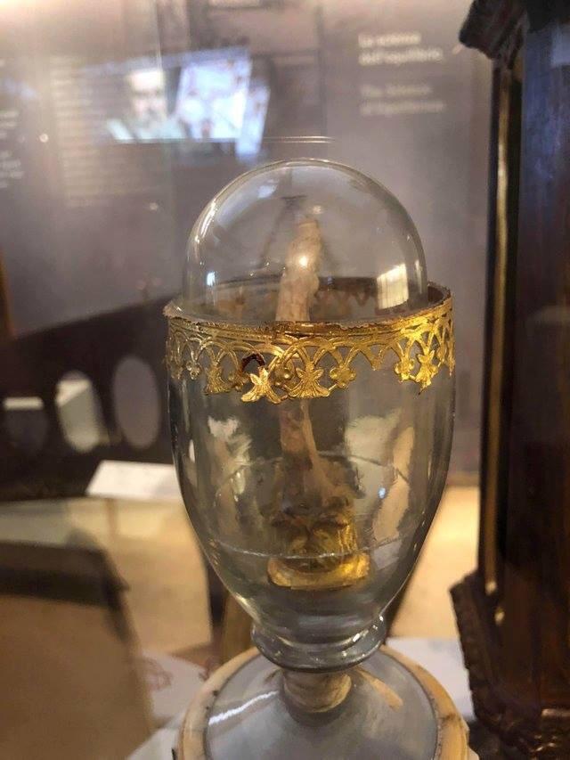 Galileo's middle finger, preserved in Florence, Italy.