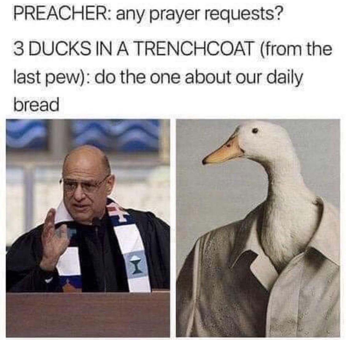 The ducks are sacrilegious, lately.