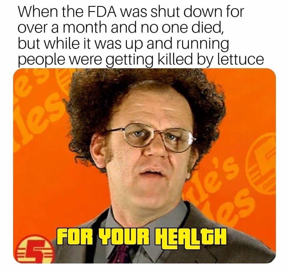 what-is-it-that-you-do-here