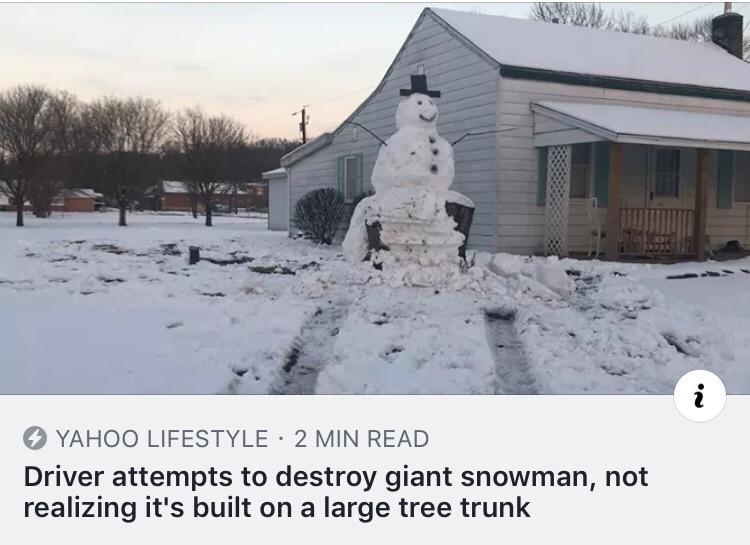 Snowman 1, Driver 0