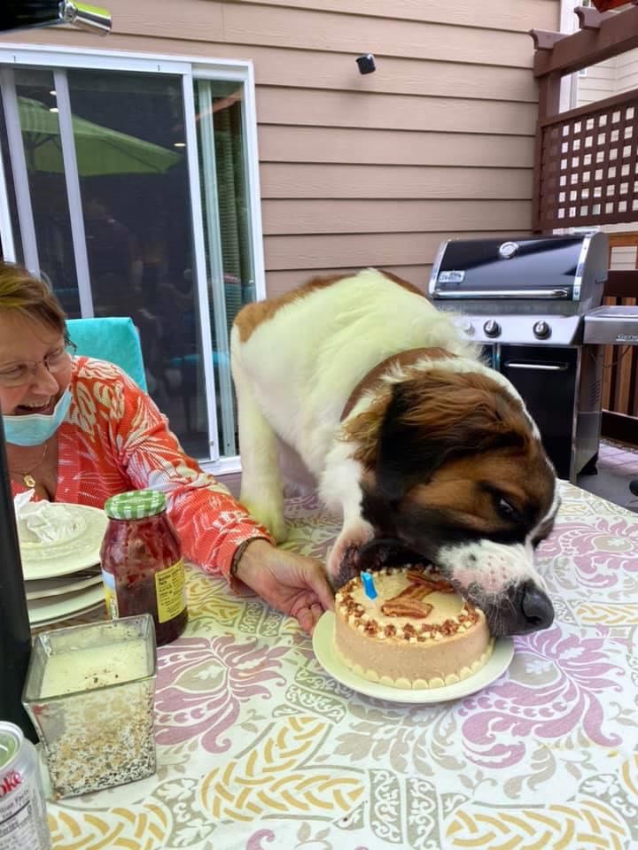 How to properly eat a birfday cake.