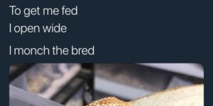 I monch the bread