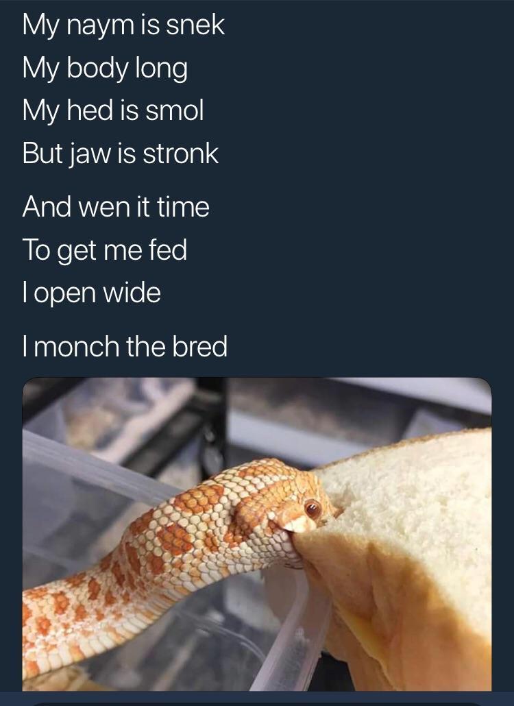 I monch the bread