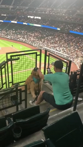 Seattle Mariners fans are the goodest.