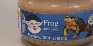 Baby Frog Food