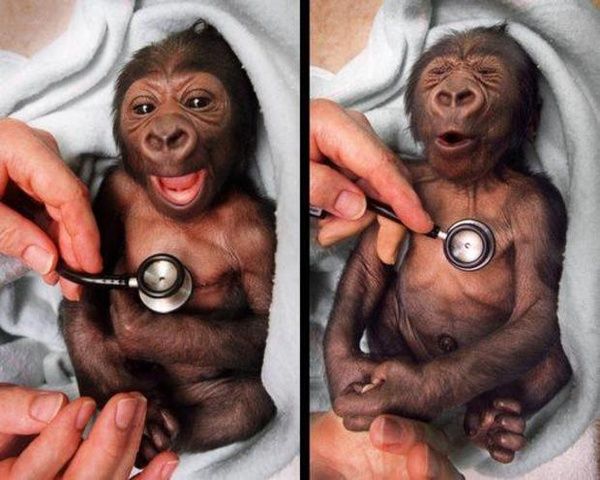 Cold stethoscope!