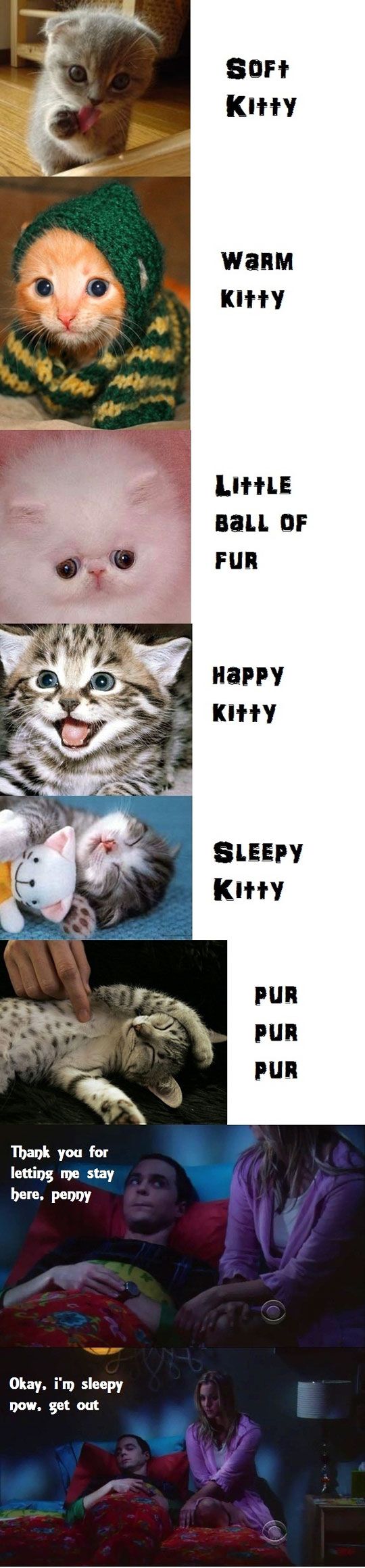 Soft kitty, warm kitty...