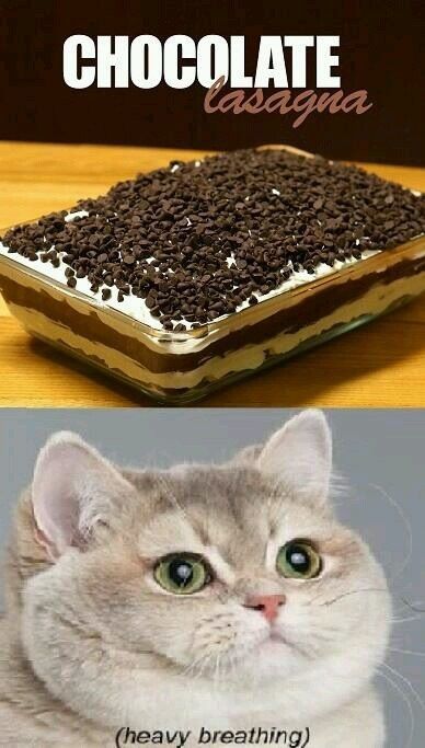 Chocolate lasagna.