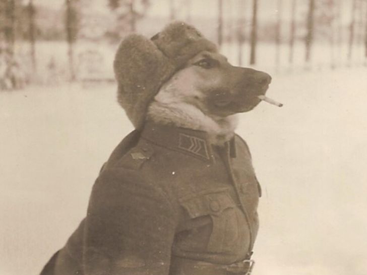 Finnish sergeant in second world war.