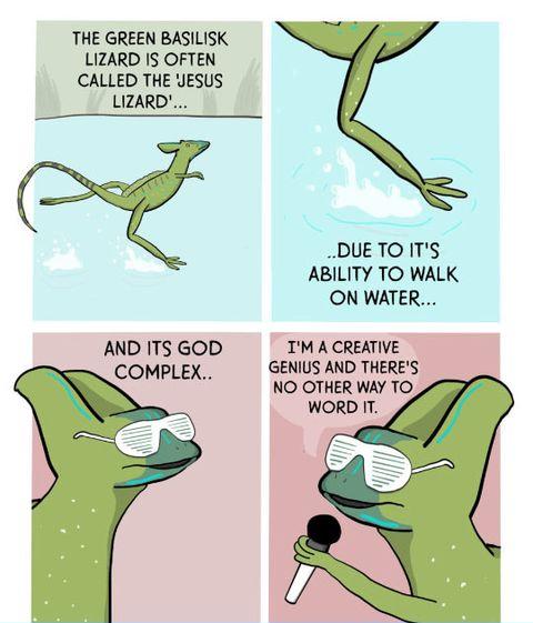 The jesus lizard