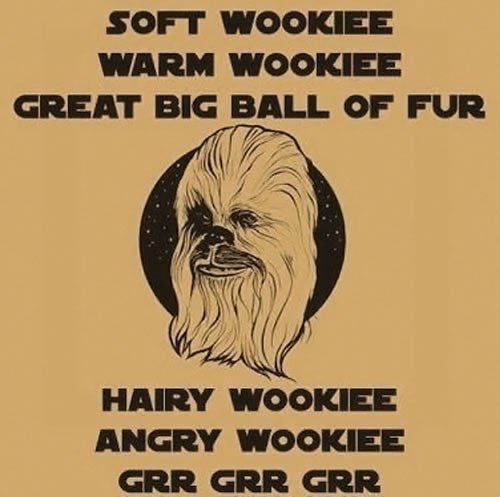 Soft Wookie, Warm Wookie...