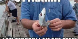 Shark Week, commence!